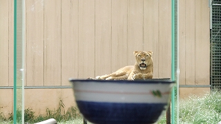 ユウナ丼.jpg