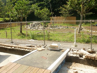 P2220109.jpg